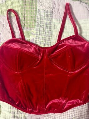 Pink Velvet Italian Bustier Crop Top